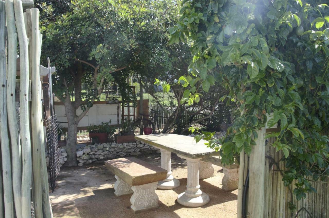 Sitterus Daire Stilbaai Dış mekan fotoğraf